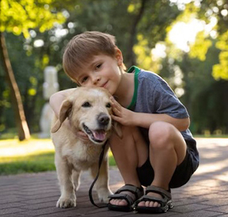 Курс ответственного отношения к животным для детей